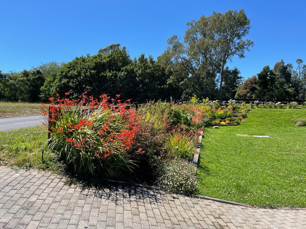 Jardín después de un año: vegetación consolidada y colorida